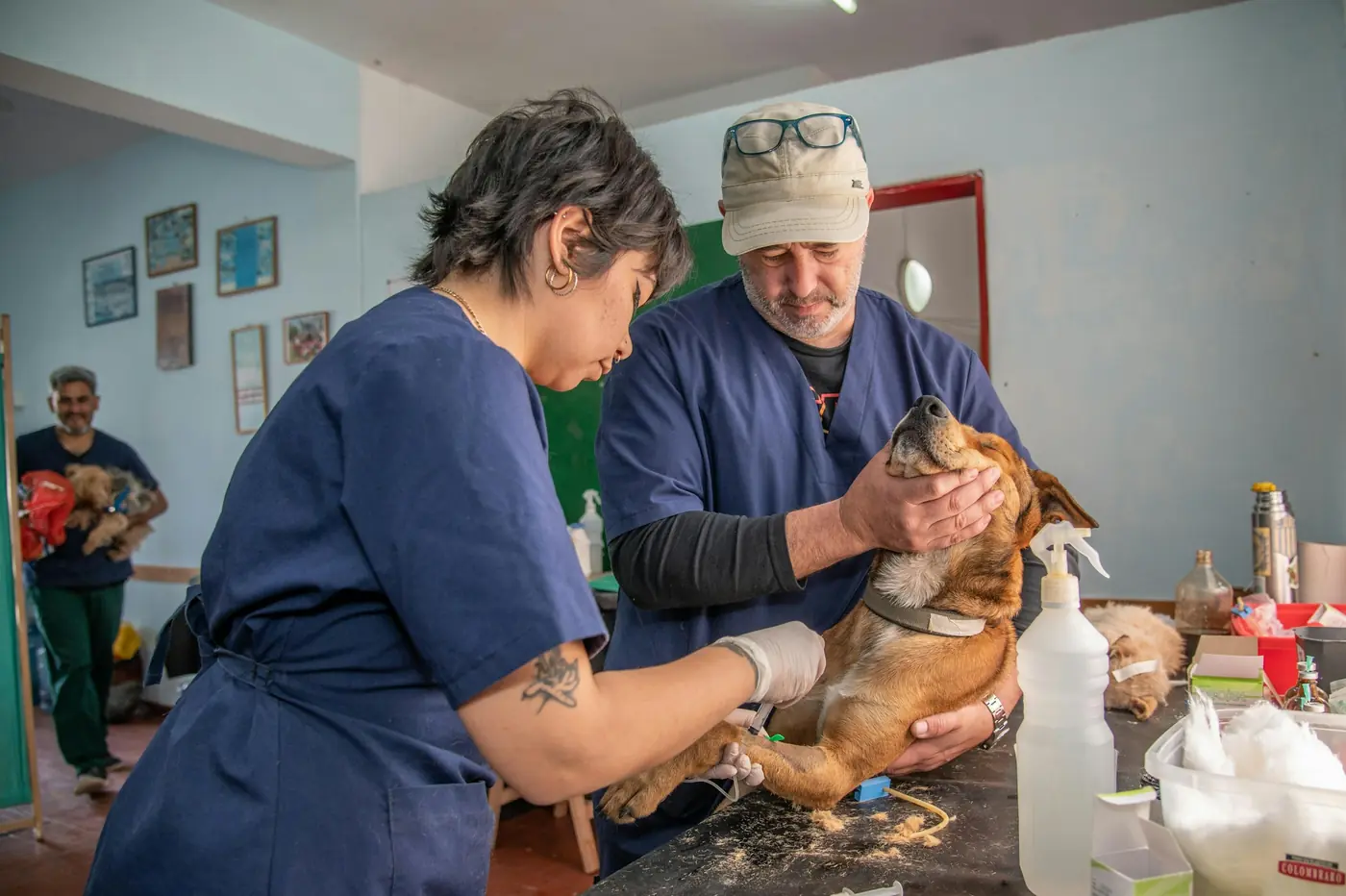 Equipo veterinario trabajando en la clínica